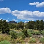 Thumbnail of 6 LOTS IN THE OLD HISTORIC TOWN OF CHERRY CREEK, NEVADA ~ TREED, POWER, ROAD AND MILLION DOLLAR VIEWS Photo 17