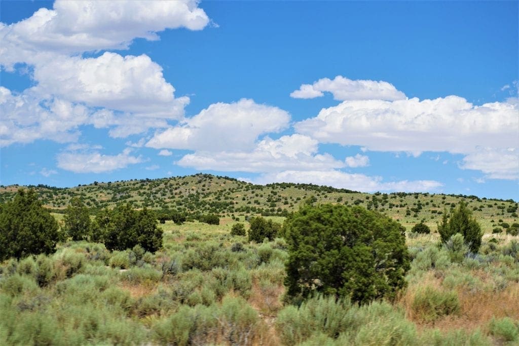 Large view of Treed 10.00 Acre Lot with County Maintained Dove Creek Road Running Through it ~ Come Enjoy Box Elder County! Photo 2