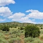 Thumbnail of Treed 10.00 Acre Lot with County Maintained Dove Creek Road Running Through it ~ Come Enjoy Box Elder County! Photo 2