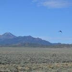 Prime land for sale in Eureka County Nevada
