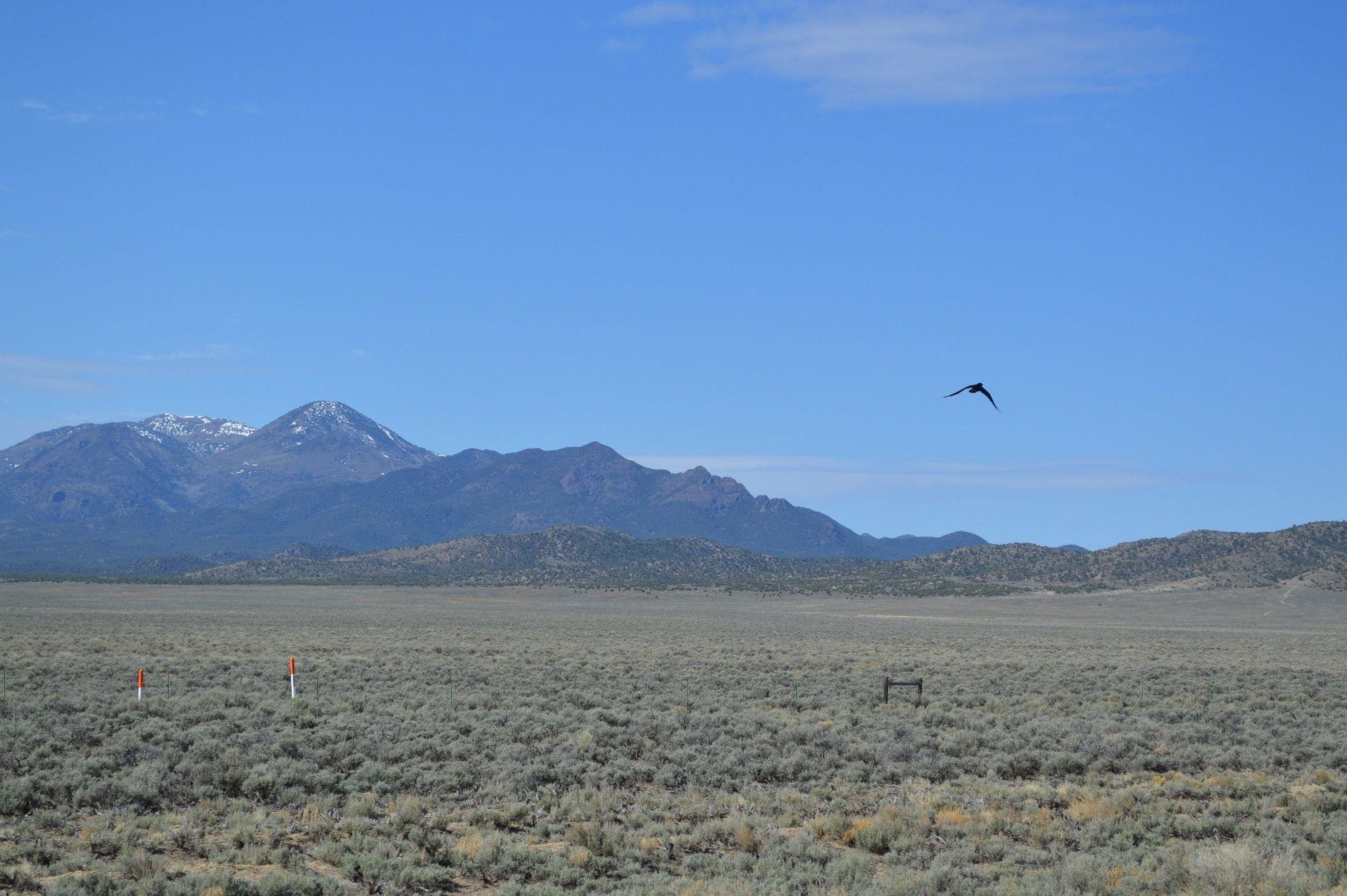 Prime land for sale in Eureka County Nevada