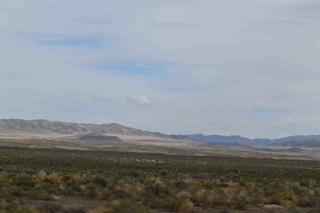 Large view of 10 Acre Building lot at the heels of Bald Mountain and Easy Access to HWY 306 Photo 5