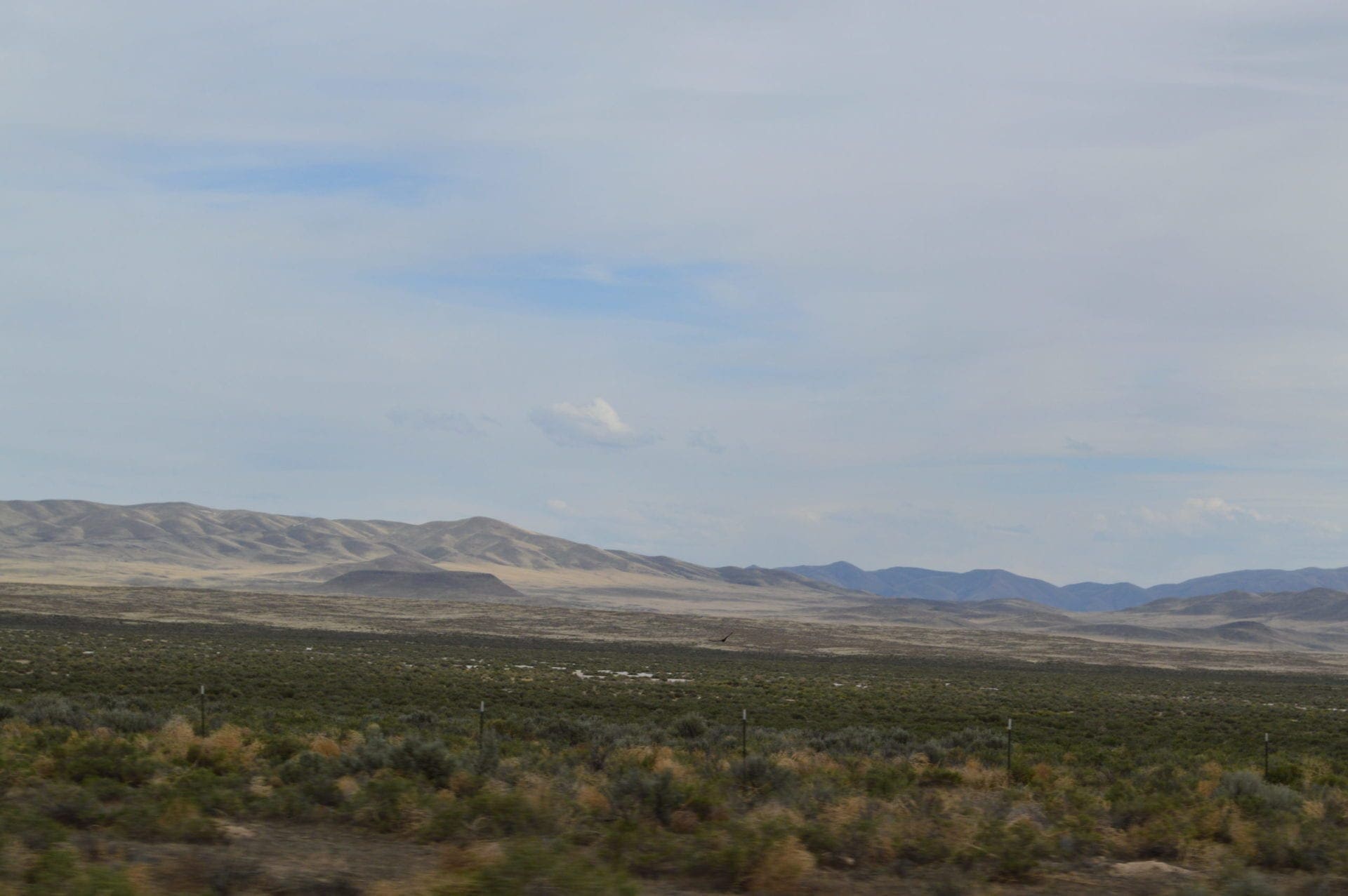 10 Acre Building lot at the heels of Bald Mountain and Easy Access to HWY 306 photo 5