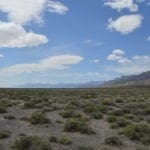 Thumbnail of 10 Acre Building lot at the heels of Bald Mountain and Easy Access to HWY 306 Photo 1