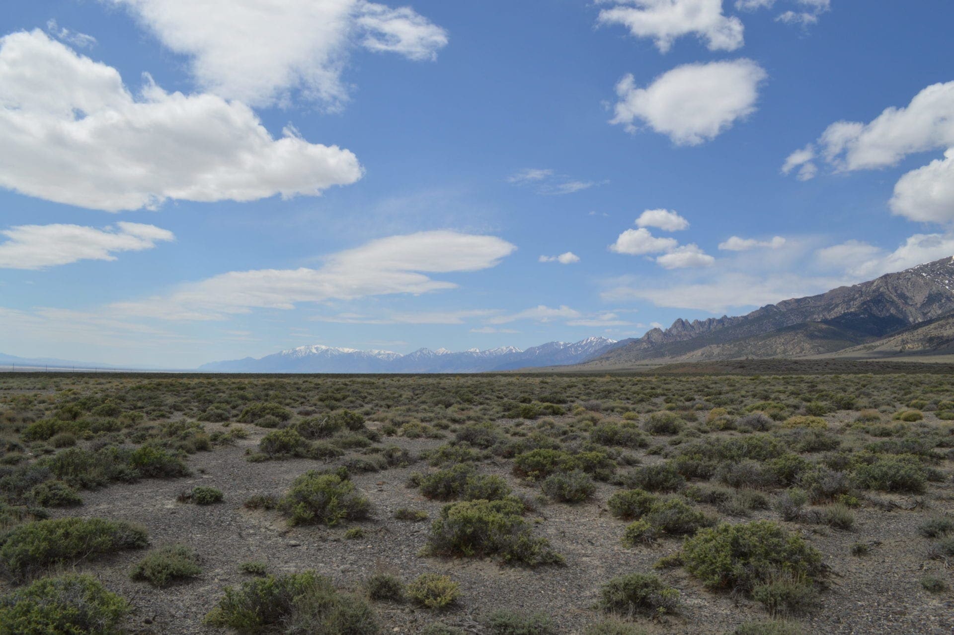 10 Acre Building lot at the heels of Bald Mountain and Easy Access to HWY 306 photo 1