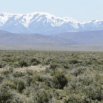 Thumbnail of 30.00 Acres of Beautiful Park Like Setting near Cresent Valley Nevada & Gold Mines Mtn Top Property Photo 1