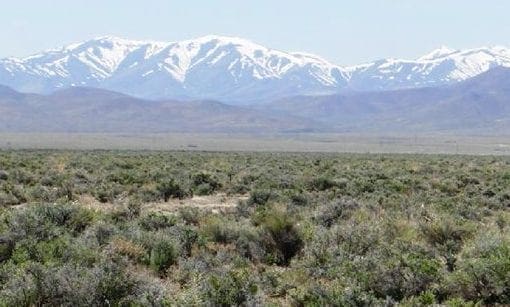 30.00 Acres of Beautiful Park Like Setting near Cresent Valley Nevada & Gold Mines Mtn Top Property