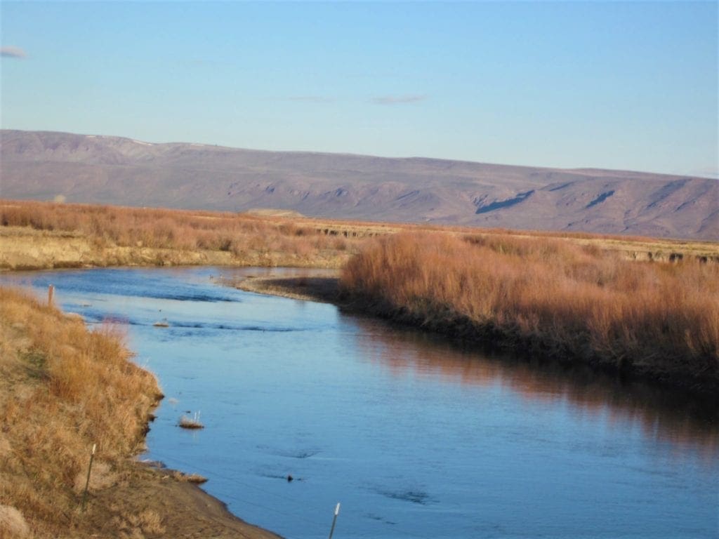 Large view of Gorgeous 40.460 Acre Humboldt Riverfront Property with Conservation road access near Black Rock Desert Photo 8