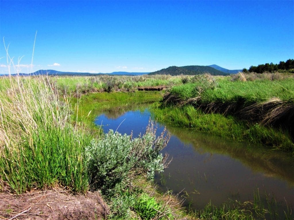 Large view of 5.03 Acres on the Pristine Sprague River Southern Oregon near California Photo 2