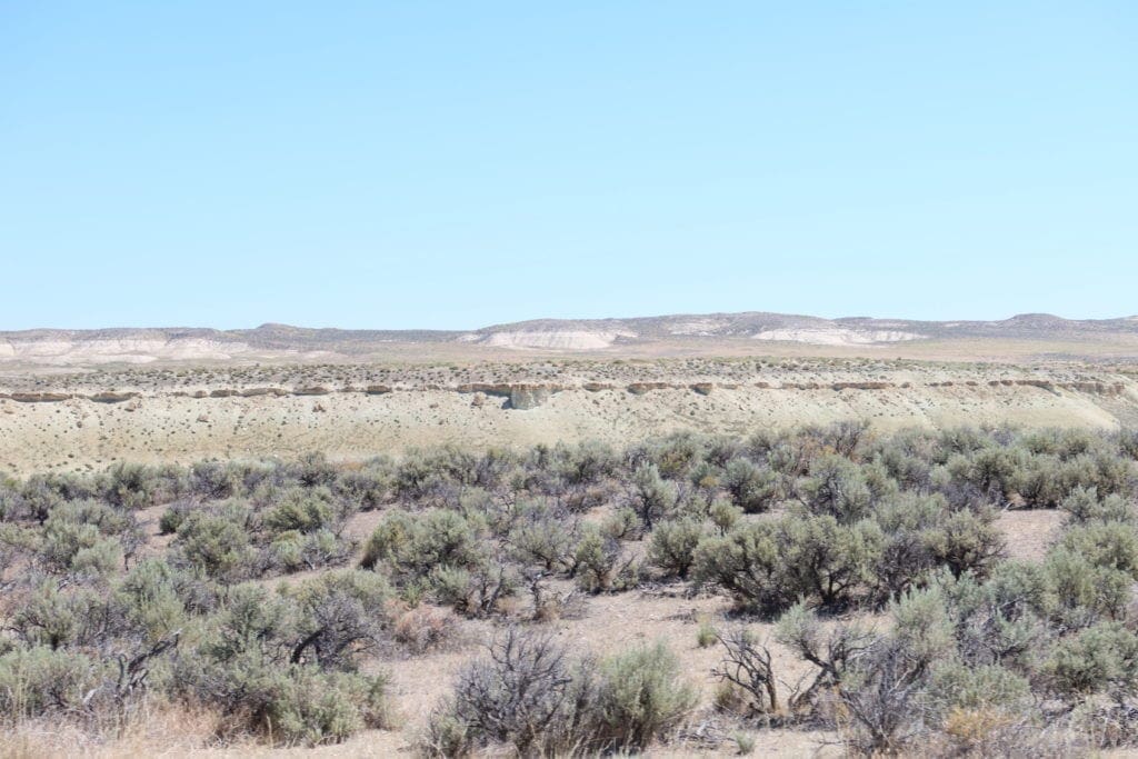 Large view of 30 Huge Acres Southeastern Oregon near Nevada & Idaho, Owyhee River & Crooked Creek. Photo 4