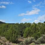 Thumbnail of 40.00 HUGE TIMBERED ACRES ON THE MOUNTAIN FEET FROM THE UTAH BORDER ADJOINING PUBLIC LANDS WITH MAJOR ELK & DEER GAME TRAIL THROUGH PROPERTY IN ELKO COUNTY, NEVADA Photo 7