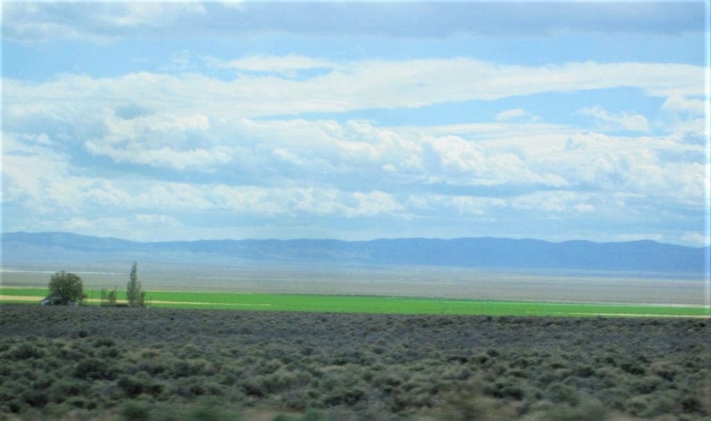 Large view of 5.00 Acres in Beautiful White Pine County with Spectacular Diamond Range Views & Adjacent to Alfalfa Fields in Eastern Nevada Photo 1