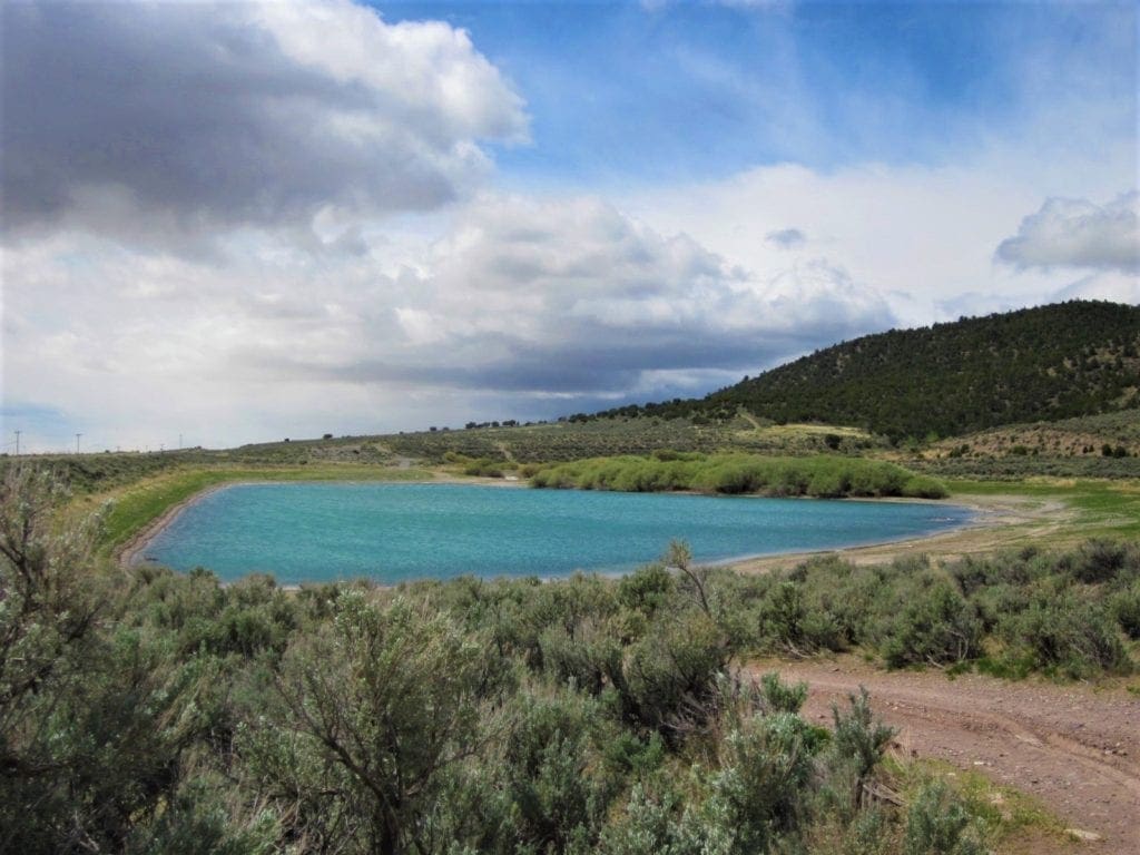 Large view of 5.00 Acres in Beautiful White Pine County with Spectacular Diamond Range Views & Adjacent to Alfalfa Fields in Eastern Nevada Photo 7