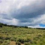 Thumbnail of Treed 10.00 Acre Lot with County Maintained Dove Creek Road Running Through it ~ Come Enjoy Box Elder County! Photo 5