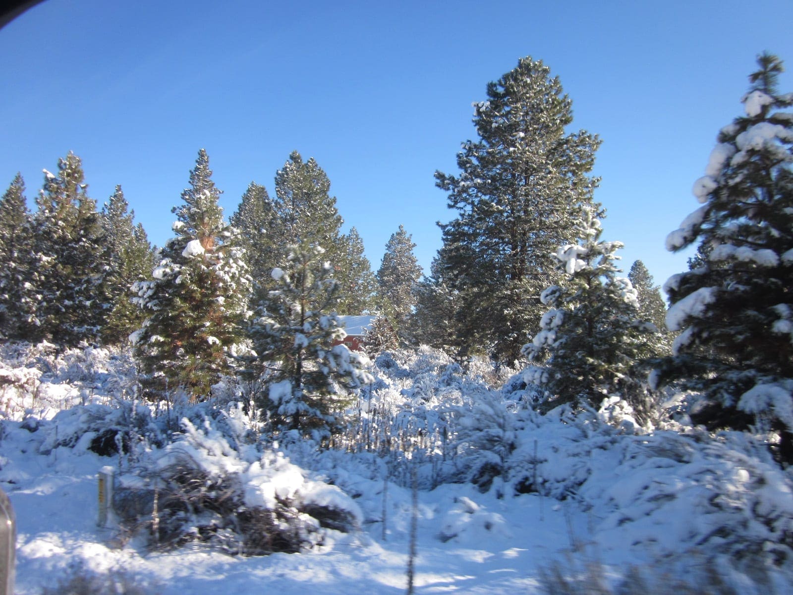 .37 Acres in Klamath County Oregon Beautiful Lot Near Agency Lake photo 15