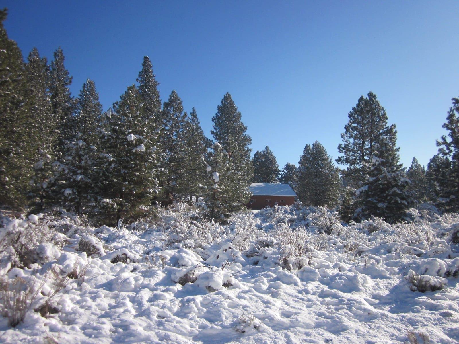 .32 Acres in Oregon Shores, Klamath County! Adjoining lot available! photo 10