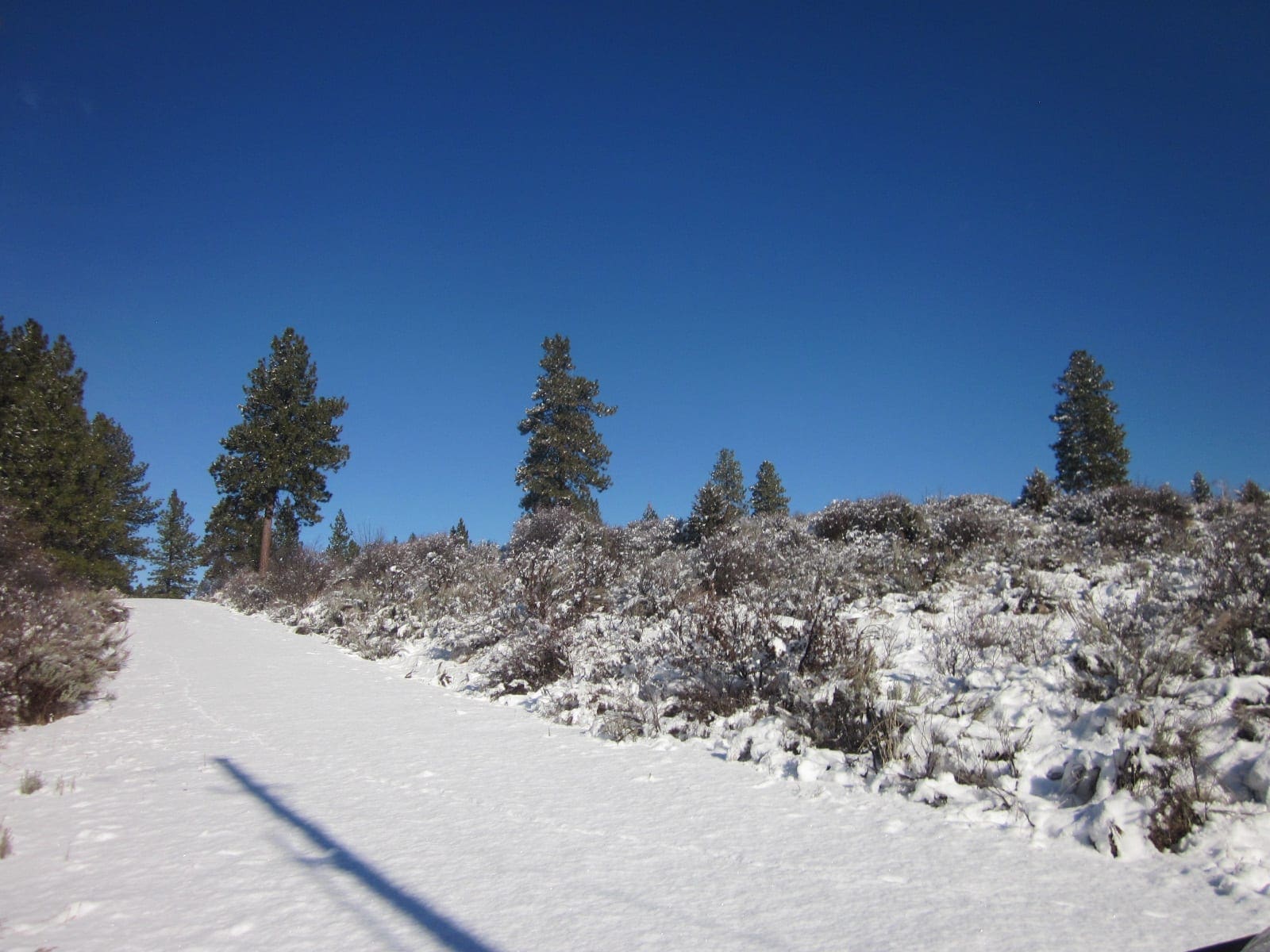 .37 Acres in Klamath County Oregon Beautiful Lot Near Agency Lake photo 5