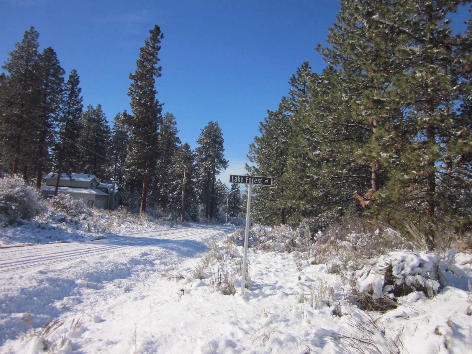 .37 Acres in Klamath County Oregon Beautiful Lot Near Agency Lake photo 6