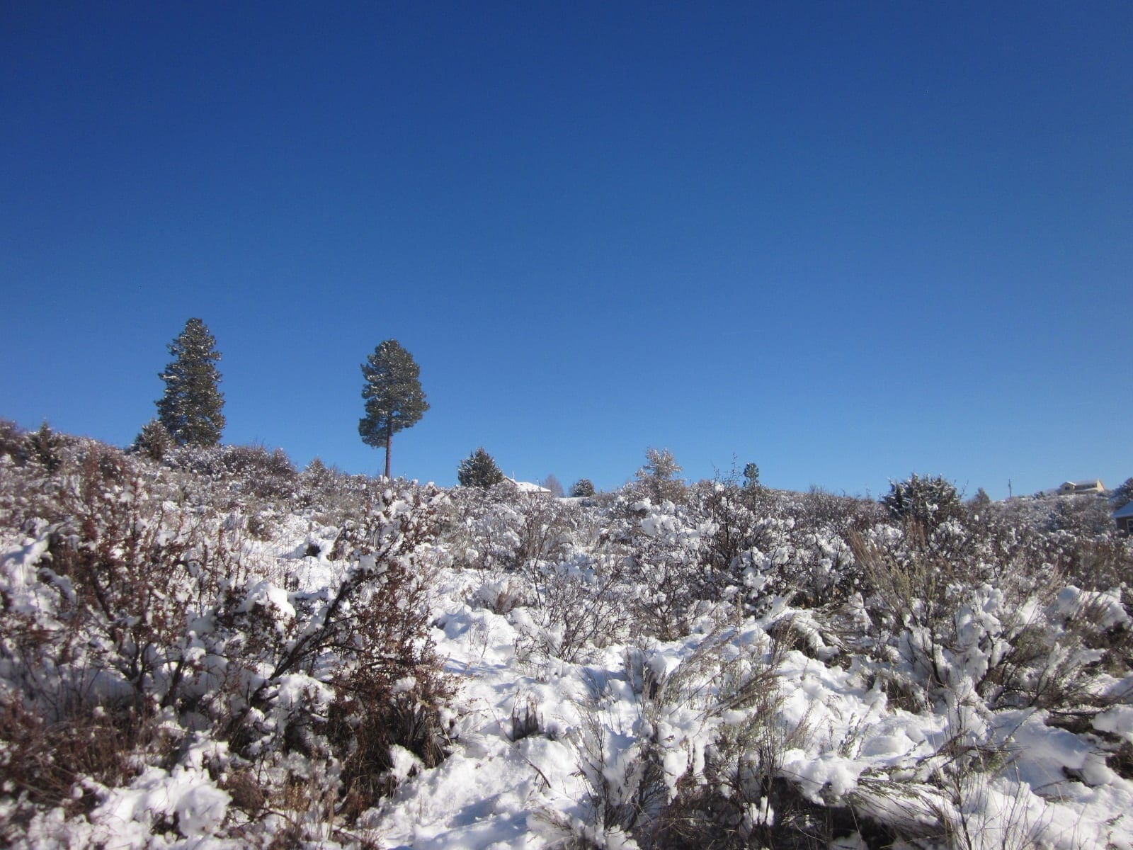 .37 Acres in Klamath County Oregon Beautiful Lot Near Agency Lake photo 8