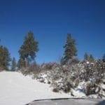Thumbnail of .32 Acres in Oregon Shores, Klamath County! Adjoining lot available! Photo 7