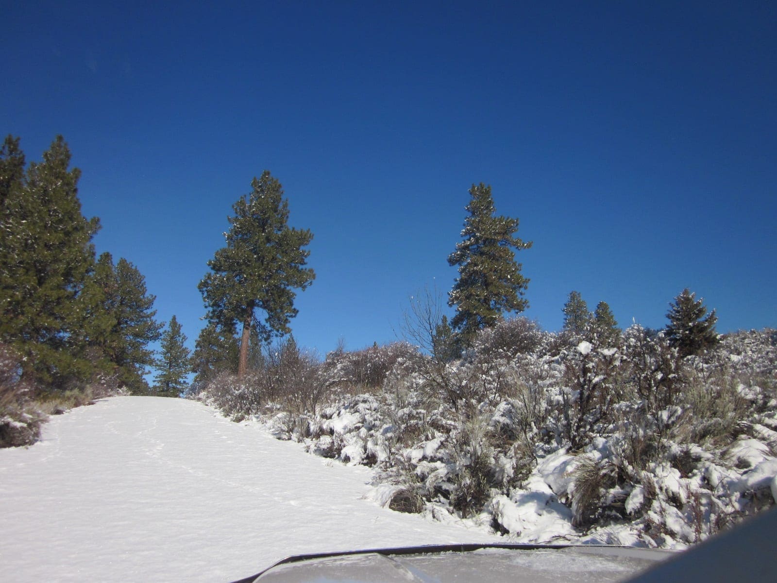 .37 Acres in Klamath County Oregon Beautiful Lot Near Agency Lake photo 9