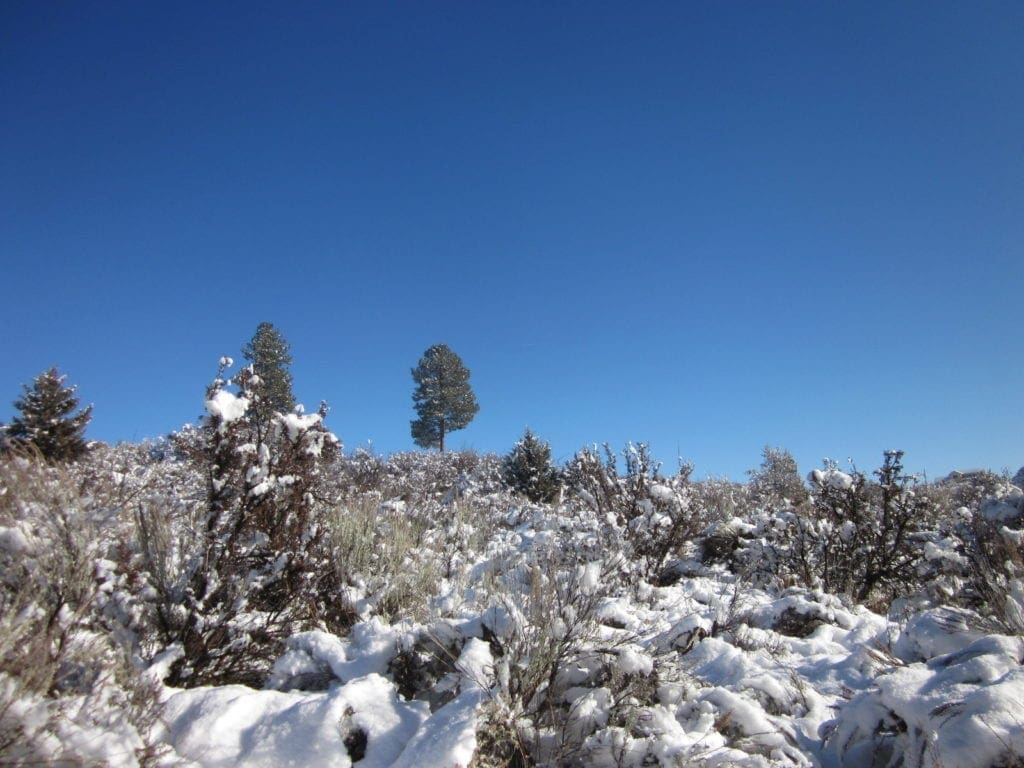 Large view of .32 Acres in Oregon Shores, Klamath County! Adjoining lot available! Photo 6