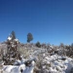 Thumbnail of .32 Acres in Oregon Shores, Klamath County! Adjoining lot available! Photo 6