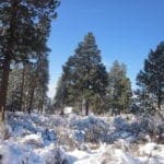 Thumbnail of .37 Acres in Klamath County Oregon Beautiful Lot Near Agency Lake Photo 11