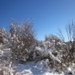 Thumbnail of .37 Acres in Klamath County Oregon Beautiful Lot Near Agency Lake Photo 12