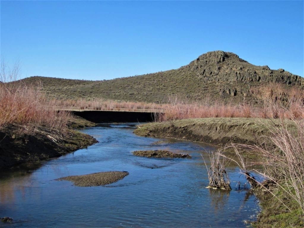 Large view of Rare 20 Acre Humboldt Riverfront property near town with Mineral Rights & Easement Photo 11