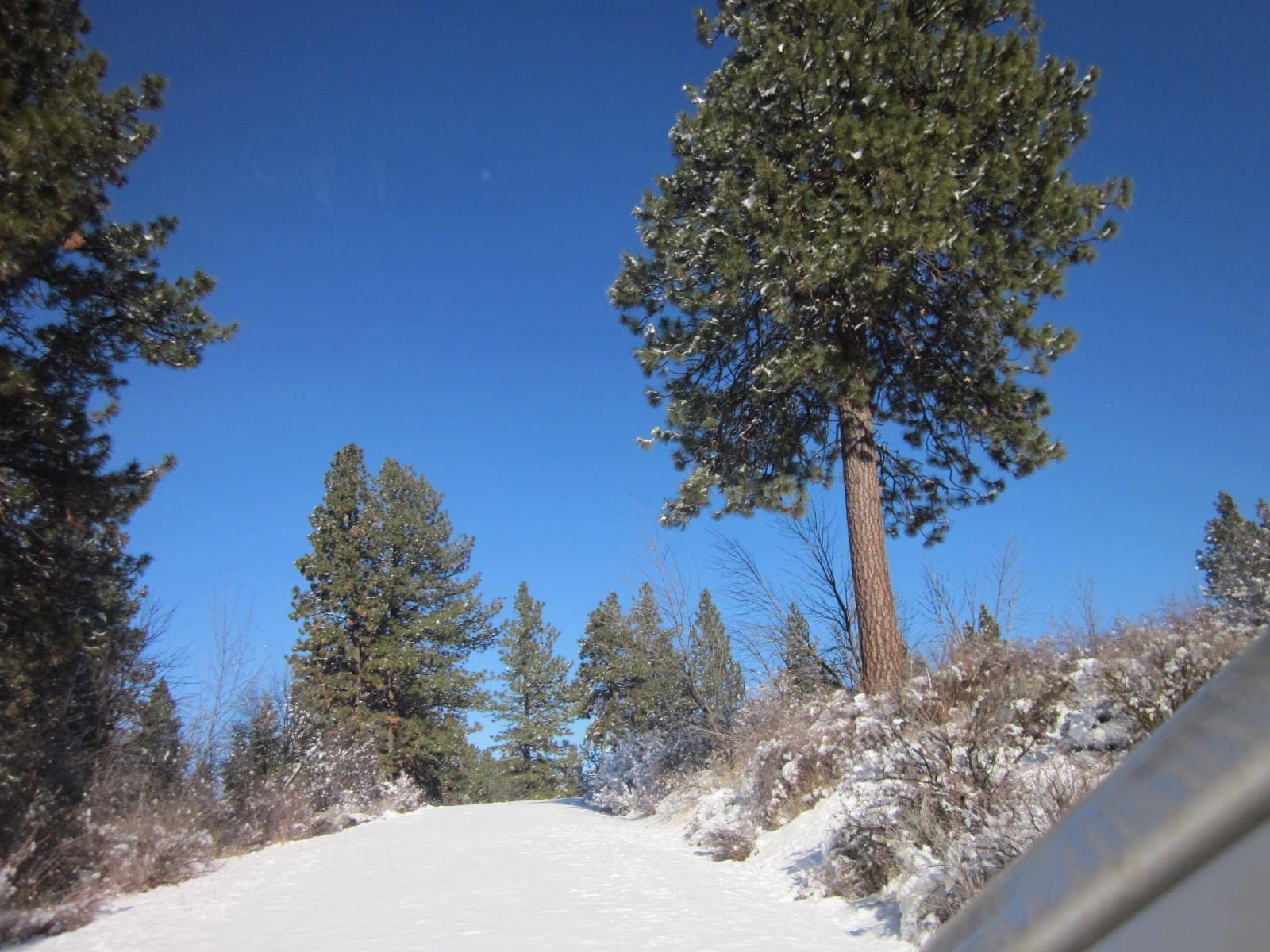 .37 Acres in Klamath County Oregon Beautiful Lot Near Agency Lake photo 13