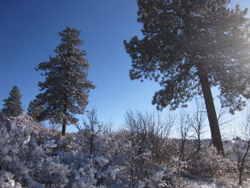 Large view of .37 Acres in Klamath County Oregon Beautiful Lot Near Agency Lake Photo 14