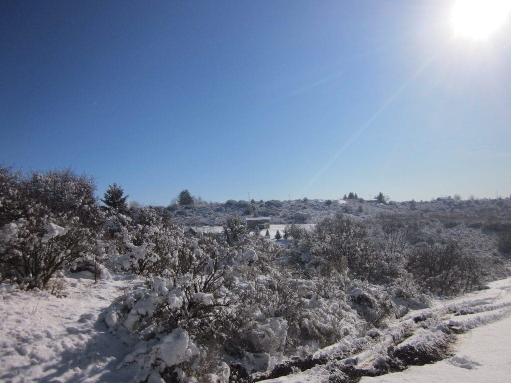 Large view of .32 Acres in Oregon Shores, Klamath County! Adjoining lot available! Photo 5
