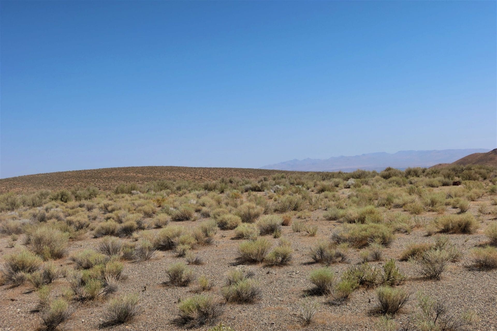 165.40 Huge Acres in the Mountains near GOLD & SILVER Mines ~ Four lots Sub dividable photo 10