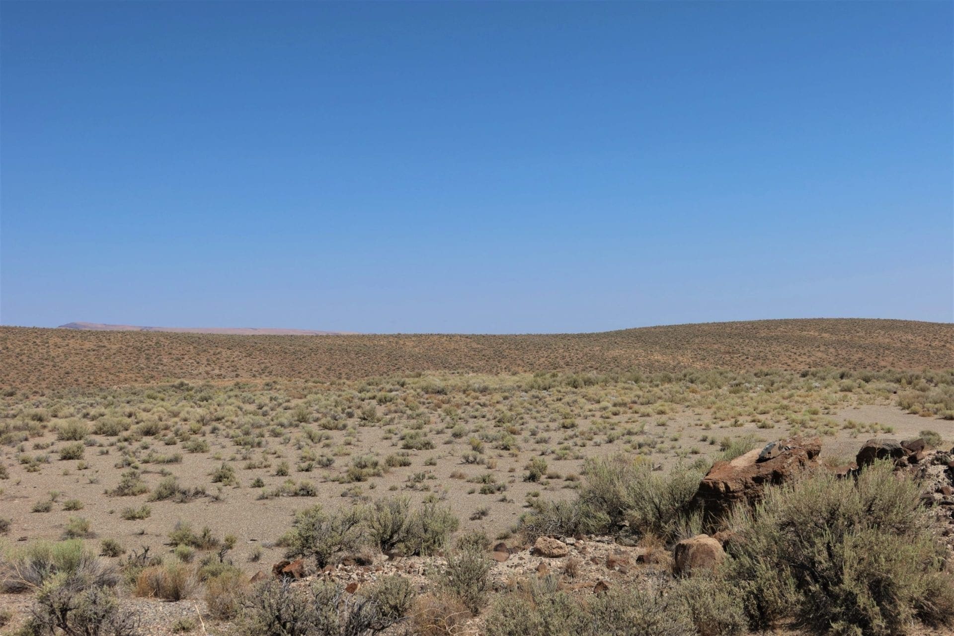 165.40 Huge Acres in the Mountains near GOLD & SILVER Mines ~ Four lots Sub dividable photo 18