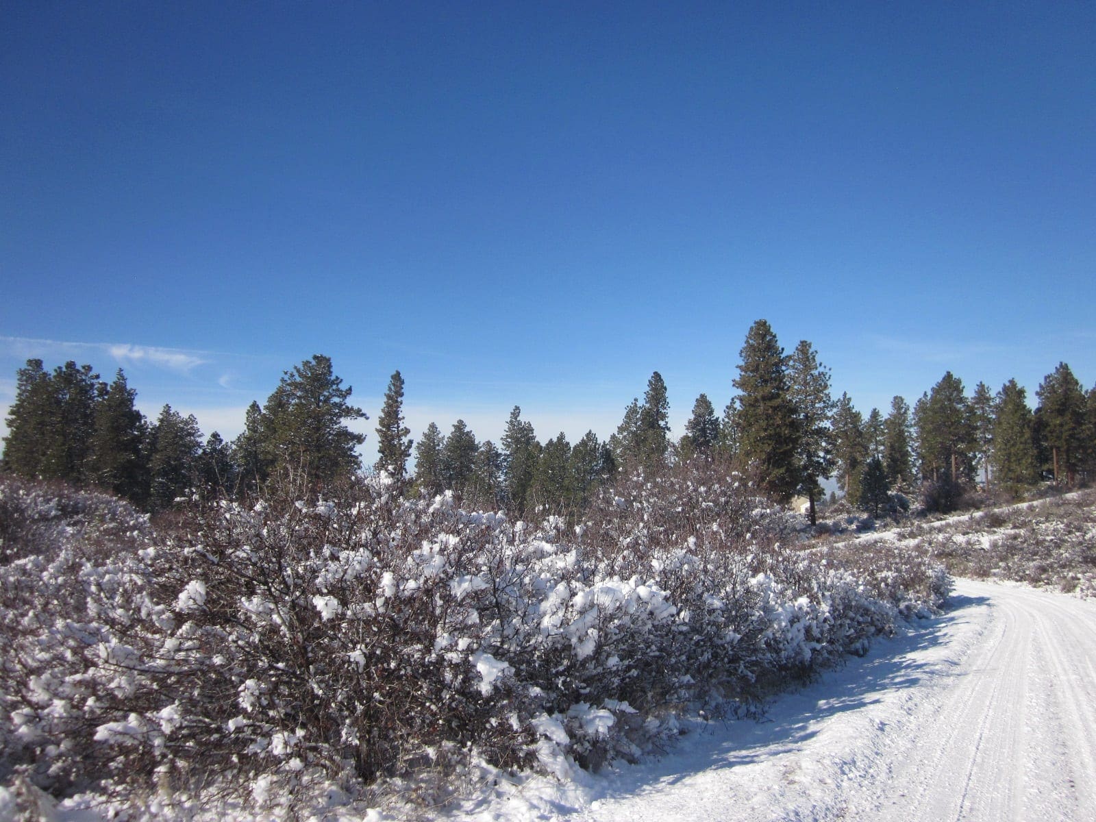 .37 Acres in Klamath County Oregon Beautiful Lot Near Agency Lake photo 19