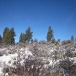 Thumbnail of .32 Acres in Oregon Shores, Klamath County! Adjoining lot available! Photo 4