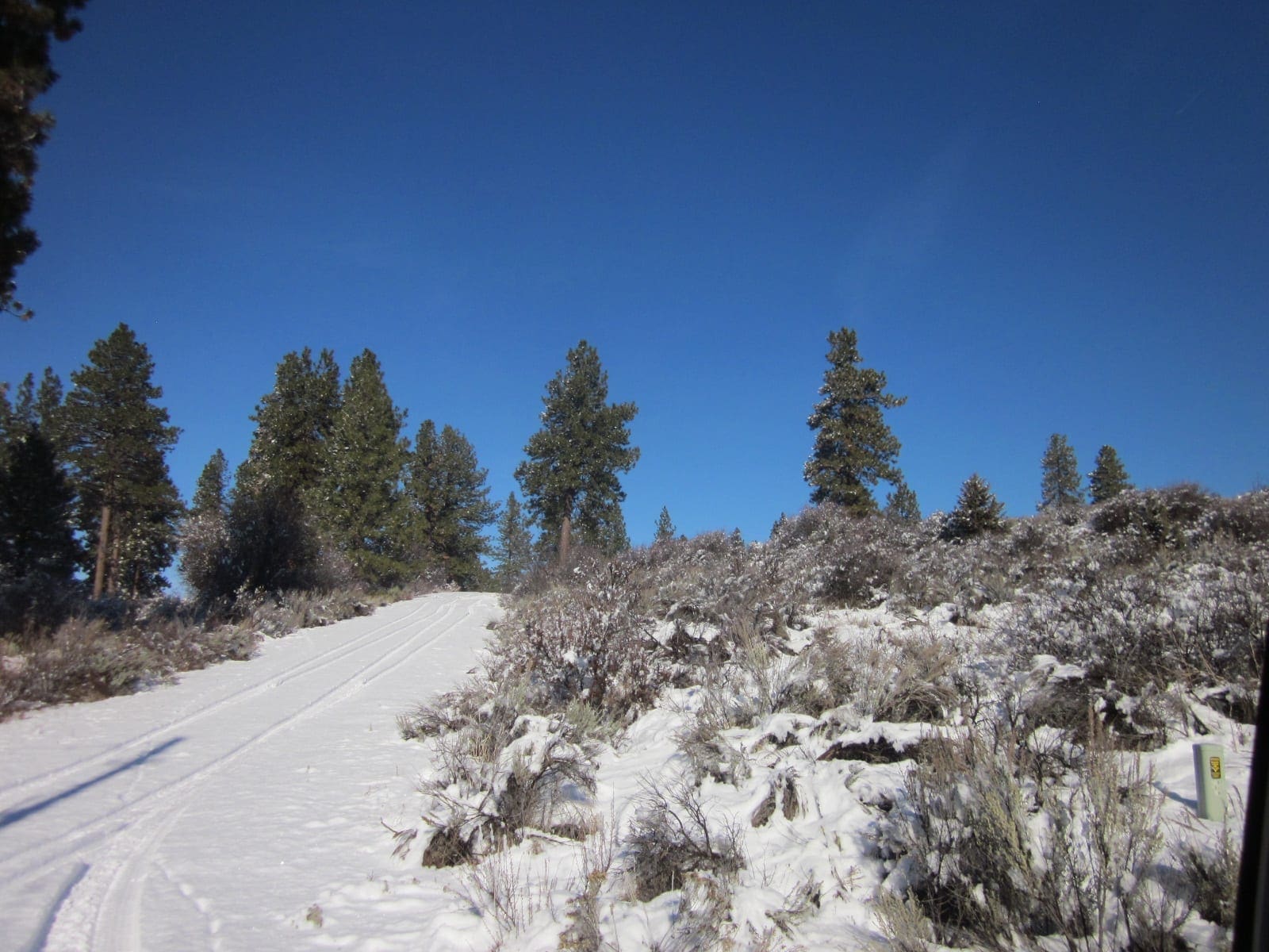 .32 Acres in Oregon Shores, Klamath County! Adjoining lot available! photo 14