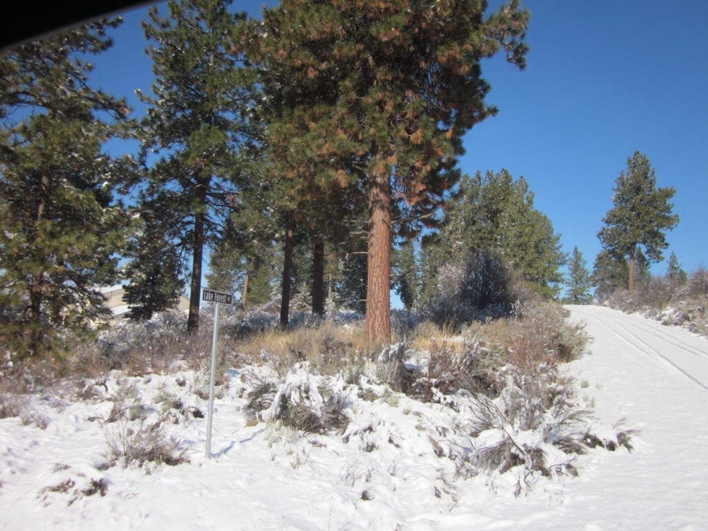 Large view of .32 Acres in Oregon Shores, Klamath County! Adjoining lot available! Photo 13