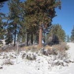 Thumbnail of .32 Acres in Oregon Shores, Klamath County! Adjoining lot available! Photo 13
