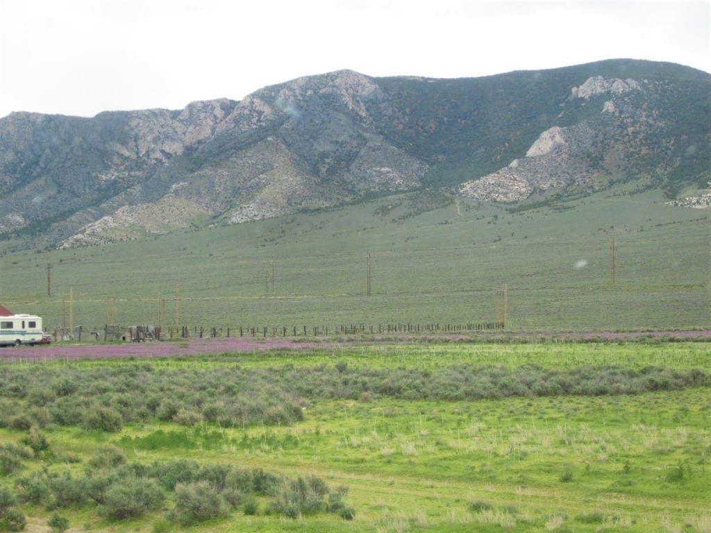 Large view of Location describes this Rare 5 acre parcel in Ely, Nevada Photo 4