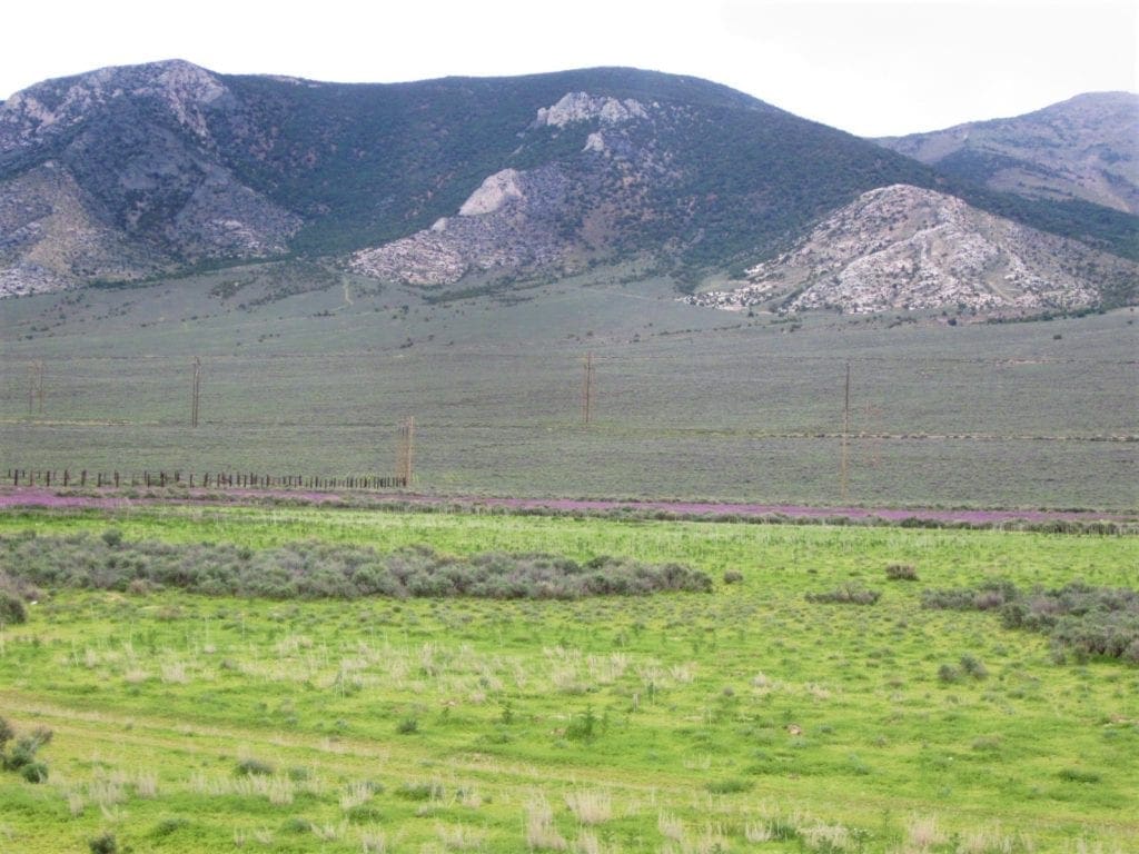 Large view of Location describes this Rare 5 acre parcel in Ely, Nevada Photo 8
