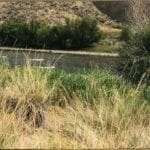 Thumbnail of 0.5 Acre lot located just feet from the Salmon River in Lemhi County, Idaho! Photo 2