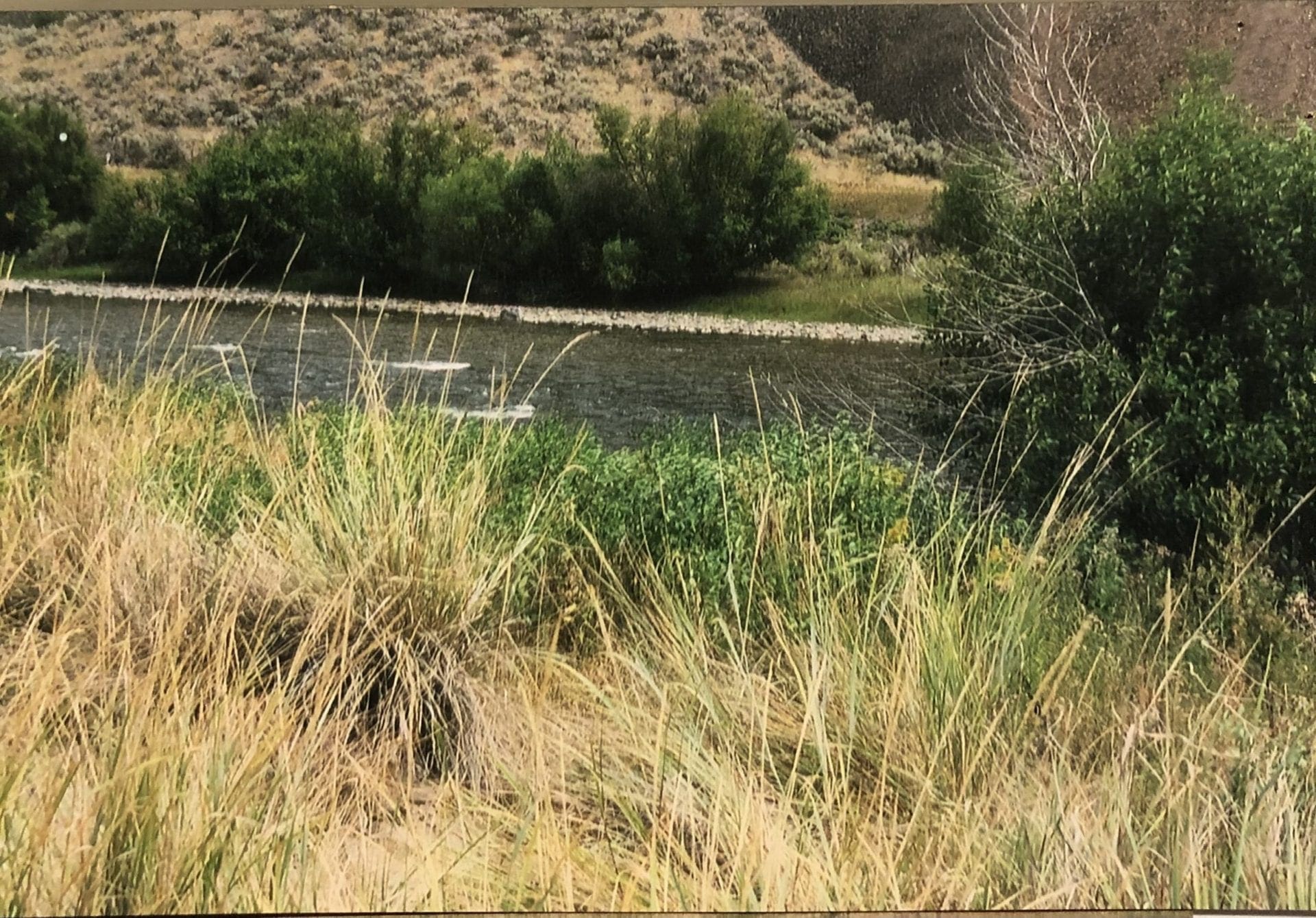 1 Acre Building Lot In Lemhi County, Idaho. Just a stone’s throw from the Salmon River photo 2
