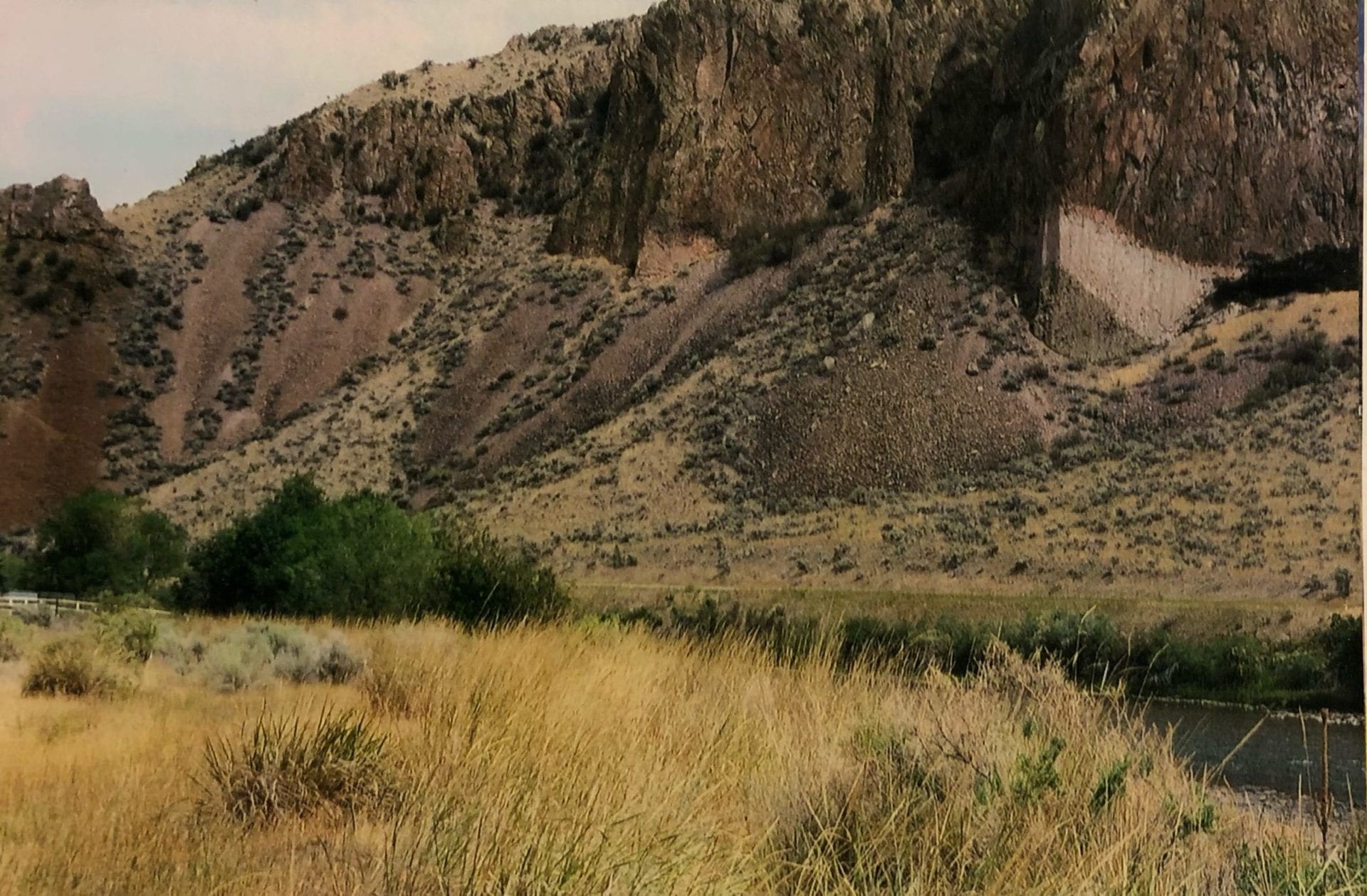 Half Acre RIVERFRONT Lot In Lemhi County, Idaho! photo 7