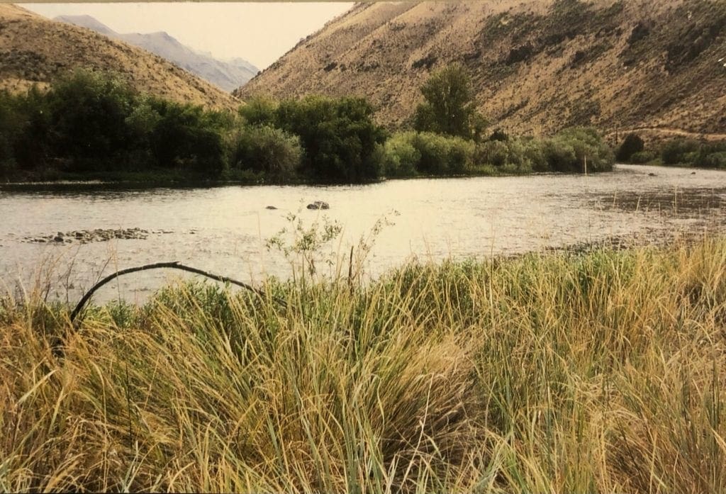 Large view of 0.5 Acre lot located just feet from the Salmon River in Lemhi County, Idaho! Photo 4