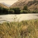 Thumbnail of 0.5 Acre lot located just feet from the Salmon River in Lemhi County, Idaho! Photo 4