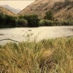 Thumbnail of Half Acre RIVERFRONT Lot In Lemhi County, Idaho! Photo 4