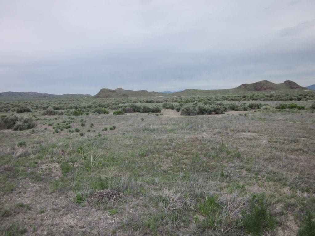 Large view of 10.00 Huge Acres ~ Utah Ranchette Footsteps from the Nevada State Line Photo 10