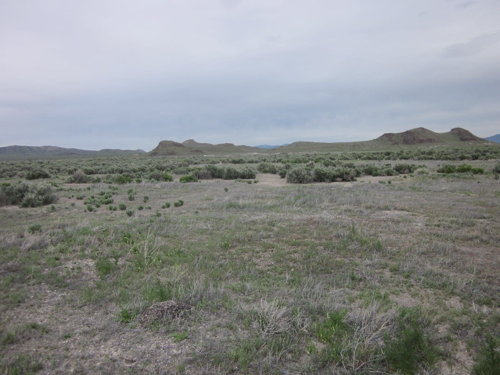 10.00 Huge Acres ~ Utah Ranchette Footsteps from the Nevada State Line photo 10